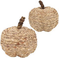 2 Pack Pumpkin Fall Decor, Woven Wicker Pumpkins for Home, Beige in Beige