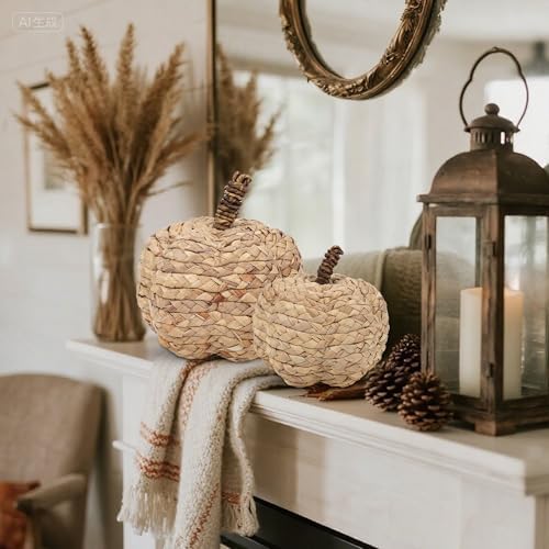 2 Pack Pumpkin Fall Decor, Woven Wicker Pumpkins for Home, Beige in Beige, alternate view 4