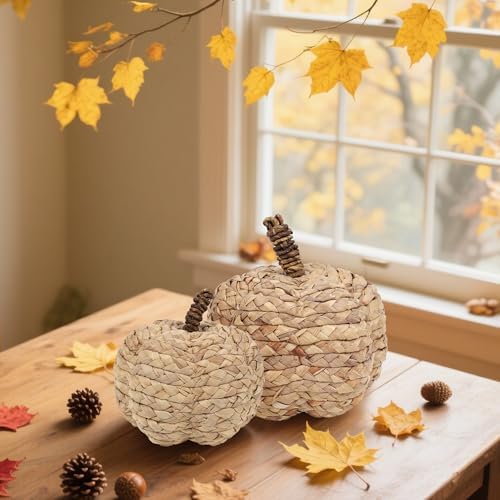 2 Pack Pumpkin Fall Decor, Woven Wicker Pumpkins for Home, Beige in Beige, alternate view 5