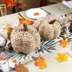 2 Pack Pumpkin Fall Decor, Woven Wicker Pumpkins for Home, Beige in Beige, alternate view 6