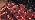 2 Pack Red Halloween Lights Indoor, 100 LED 33FT Red String Lights, alternate view 6