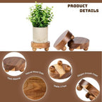 2 Pack Small Acacia Wood Riser for Decor, 4-Inch Pedestal Stands in Acacia, alternate view 3