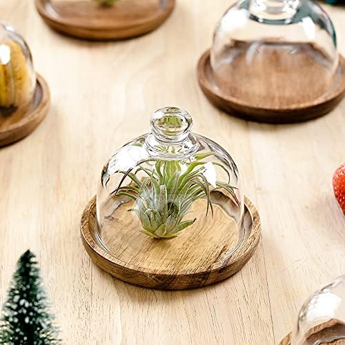 2 Pack Ultra Mini Wooden Base Cake Display Stand with Glass Dome, Cloche Clear Glass Bell Jar Cover for Dessert, alternate