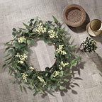 2 Pack Wreaths for Front Door 20'' Christmas Eucalyptus Wreath, Spring Summer Door Green Wreath for Home Porch, alternate