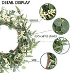 2 Pack Wreaths for Front Door 20'' Christmas Eucalyptus Wreath, Spring Summer Door Green Wreath for Home Porch, alternate