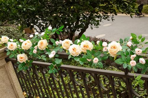 2 PCS 12FT Bendable Flower Garland, Artificial Rose Vine for Home Decor, alternate view 3
