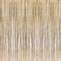 2 Pcs 3.2ft x 8.2ft Champagne Gold Metallic Tinsel Foil Fringe Curtains Photo Booth Backdrop for Baby Shower