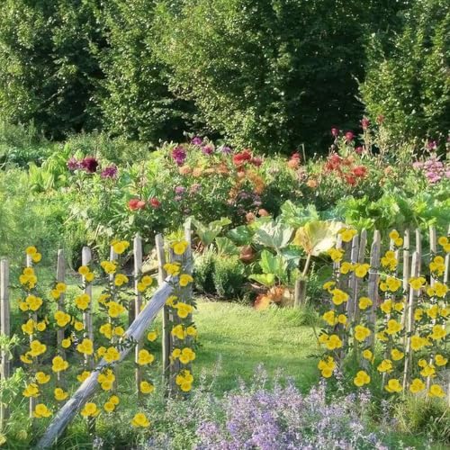 2 Pcs Wildflower Garland Spring Flowers Garland Yellow Artificial Daisy Flowers and Leaves Faux Floral Vine for, alternate