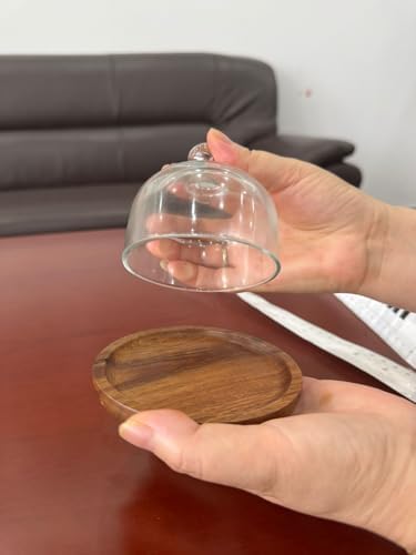 2 Sets Mini Cake Stand, Cake Plate Server Platter with Dome in 4 inches in Transparent, Wood color, alternate view 5