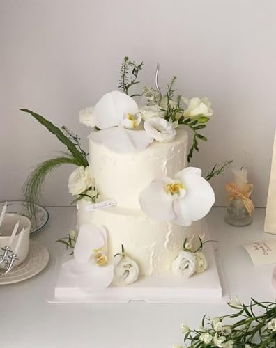 2 Tiers 6" 8" Fake Cake 4 Inch Tall Fake Birthday Cake Rounds Styrofoam Cake Dummies Set for Birthday, Wedding, alternate