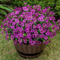 20 Bundles Artificial Flowers for Outdoor, Fake Plants Spring Decor, Fuchsia