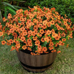 20 Bundles Artificial Flowers for Outdoor, Fake Plants Spring Decor, Orange