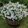20 Bundles Artificial Flowers for Outdoor, Fake Plants Spring Decor, White in White