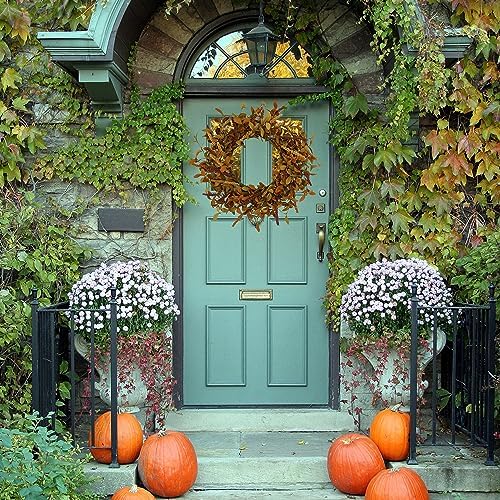 20 inch Fall Wreath Autumn Door Wreath with Eucalyptus Leaves, Mixed Grain for Front Door Farmhouse Indoor, alternate view 2