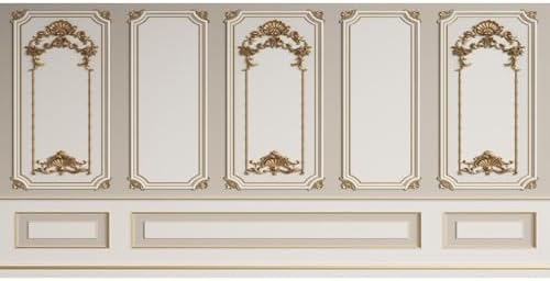 20x10ft European Style Vintage Room Inside Backdrop European Frame Modern House Classic French Castle Cementery