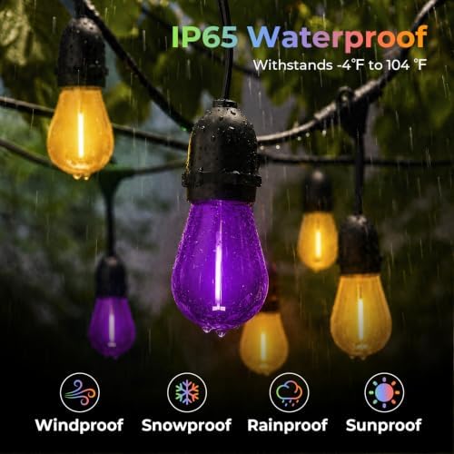 24 Pack S14 Orange and Purple Light Bulbs for String Lights, alternate view 3