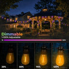24 Pack S14 Orange and Purple Light Bulbs for String Lights, alternate view 4