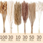 240 PCS Dried Flower Bouquet - Pampas Grass, Floral Decor for Home, Wedding, and Boho Style | Perfect for Vases, alternate
