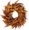 24Inch Artificial Fall Wreath for Front Door Decor Money Leaf Olive Branch in Tan