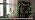 25FT G40 LED Green String Lights Outdoor with 27 Shatterproof Globe Bulbs, alternate view 7