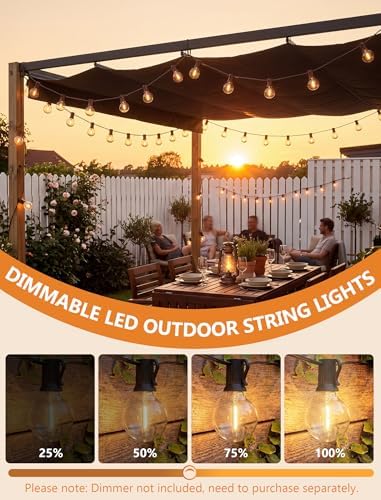 25FT LED G40 Outdoor String Lights with 25 Shatterproof Bulbs, Brown Wire, alternate view 3