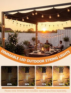 25FT LED G40 Outdoor String Lights with 25 Shatterproof Bulbs, Brown Wire, alternate view 3