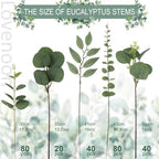 260 Pcs Artificial Mixed Eucalyptus Stems Bulk, 5 Kinds of Faux Greenery Eucalyptus Leaves Bulk for Vase Wedding, alternate