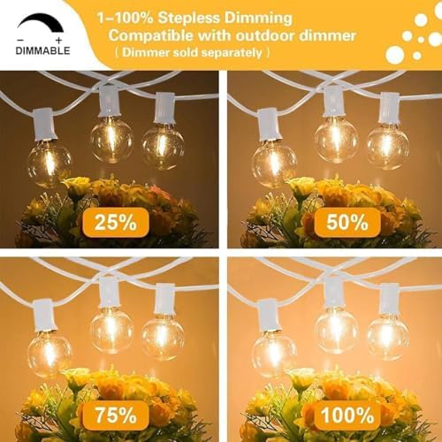 27FT White Outdoor String Lights with 14 G40 LED Bulbs in White, alternate view 5