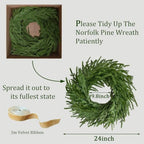 2Pcs Real Touch Norfolk Pine Wreath 24Inch Christmas Wreaths for Front Door, alternate view 3