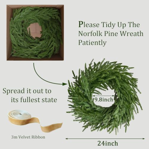 2Pcs Real Touch Norfolk Pine Wreath 24Inch Christmas Wreaths for Front Door, alternate view 3