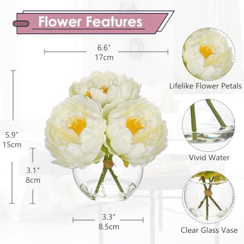 2Pcs White Peonies Artificial Flowers with Glass Vase Small 6.6inch Faux Peonies Look Real Peony Fake Flowers, alternate view