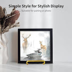 3 Pack 4 inch Metal Plate Stands for Display, Plate Holder Pictures Frame Easel Display Stand, Tabletop Picture, alternate