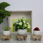 3 Pack Small Scalloped Wood Risers for Display, Mini 4 Inch Wooden Stands with Removable Feet Farmhouse Rustic, alternate