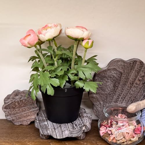 3 Pack Small Scalloped Wood Risers for Display, Wooden Stands with Removable Feet Farmhouse Rustic Decor for, alternate view