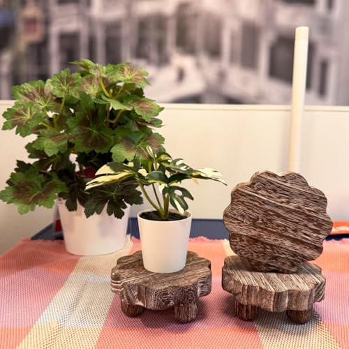 3 Pack Small Scalloped Wood Risers for Display, Wooden Stands with Removable Feet Farmhouse Rustic Decor for, alternate view