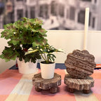 3 Pack Small Scalloped Wood Risers for Display, Wooden Stands with Removable Feet Farmhouse Rustic Decor for, alternate view