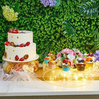 3 Pcs Acrylic Cake Stand with LED Lights 12‘’, 14‘’, 16‘’ Clear Fillable Cake Riser Round 3 Tier Case Box for, alternate view