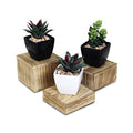 3-Piece Wooden Square Risers for Display Jewelry and Accessories Stand, Wood Display Stand, Oak Color in Oak