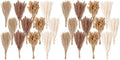 300 PCS Dried Flower Bouquet - Pampas Grass, Floral Decor for Home, Wedding, and Boho Style | Perfect for Vases