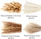 300 PCS Dried Flower Bouquet - Pampas Grass, Floral Decor for Home, Wedding, and Boho Style | Perfect for Vases, alternate
