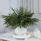 32Pcs 18"Lifelike Touch Artificial Norfolk Pine Branches for Vase Christmas, alternate view 2