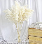 35-inch Tall White Pampas Grass Bouquet Decor - Boho Flowers and Feathers for Centerpieces, Perfect for Tall, alternate view