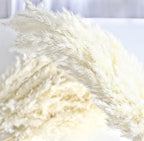 35-inch Tall White Pampas Grass Bouquet Decor - Boho Flowers and Feathers for Centerpieces, Perfect for Tall, alternate view