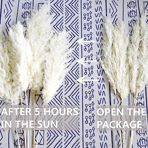 35-inch Tall White Pampas Grass Bouquet Decor - Boho Flowers and Feathers for Centerpieces, Perfect for Tall, alternate view