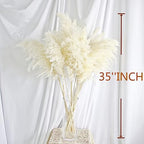 35-inch Tall White Pampas Grass Bouquet Decor - Boho Flowers and Feathers for Centerpieces, Perfect for Tall, alternate view