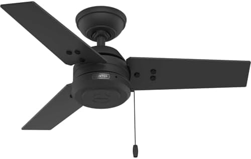 36" Cassius Indoor/Outdoor Ceiling Fan, Pull Chain, Matte Black in Matte Black