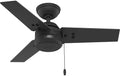36" Cassius Indoor/Outdoor Ceiling Fan, Pull Chain, Matte Black in Matte Black