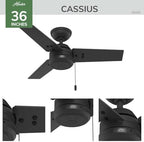 36" Cassius Indoor/Outdoor Ceiling Fan, Pull Chain, Matte Black in Matte Black, alternate view 2