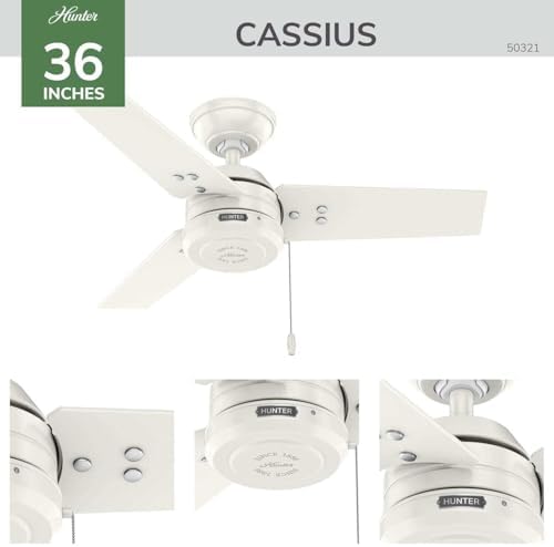 36" Cassius Indoor/Outdoor Ceiling Fan, Pull Chain, Matte Black in Matte Black, alternate view 3