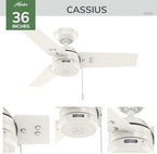 36" Cassius Indoor/Outdoor Ceiling Fan, Pull Chain, Matte Black in Matte Black, alternate view 3